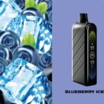 Blueberry Ice Fummo Nova 50000