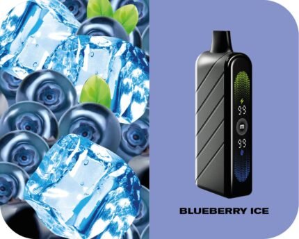 Blueberry Ice Fummo Nova 50000