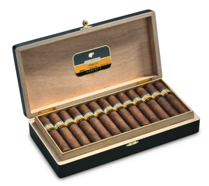 Cohiba Maduro 5 Magicos Cuban Cigar Premium Handmade Maduro Cigar Dubai UAE
