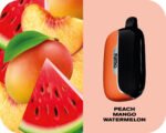 Fummo Power Peach Mango Watermelon 15000 Puffs Disposable Vape UAE