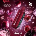 Rif Bar Turbo X Slim 12000 Puffs Grape Ice Disposable Vape 5% Nicotine Vape Lox Dubai UAE