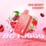 Elf Bar BC10000 Puffs Disposable Vape 5 Percent Nicotine Dubai UAE