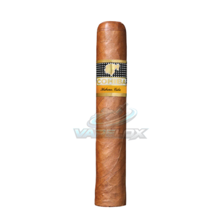 Cohiba Robustos 25 Cuban Cigars Premium Handmade Cigar Box Dubai UAE