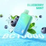 Elf Bar BC10000 Puffs Disposable Vape 5 Percent Nicotine Dubai UAE