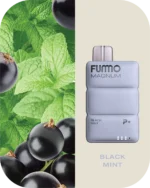 FUMMO Magnum 8000 Black Mint Disposable Vape VapeLox Dubai UAE