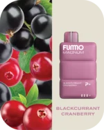 FUMMO Magnum 8000 Blackberry Cranberry Disposable Vape VapeLox Dubai UAE