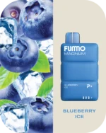 FUMMO Magnum 8000 Blueberry Ice Disposable Vape VapeLox Dubai UAE