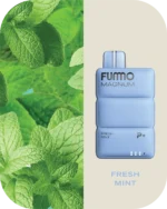 FUMMO Magnum 8000 Fresh Mint Disposable Vape VapeLox Dubai UAE
