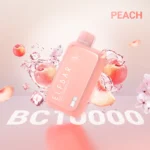 Elf Bar BC10000 Puffs Disposable Vape 5 Percent Nicotine Dubai UAE