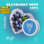 White OLO Nicotine Pouches Blueberry Mint Tobacco-Free Slim Pouches - VapeLox UAE